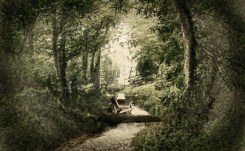 Sur la piste de Jacquelin